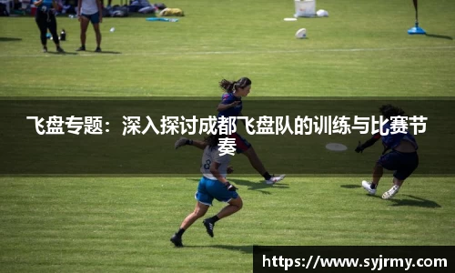 飞盘专题：深入探讨成都飞盘队的训练与比赛节奏